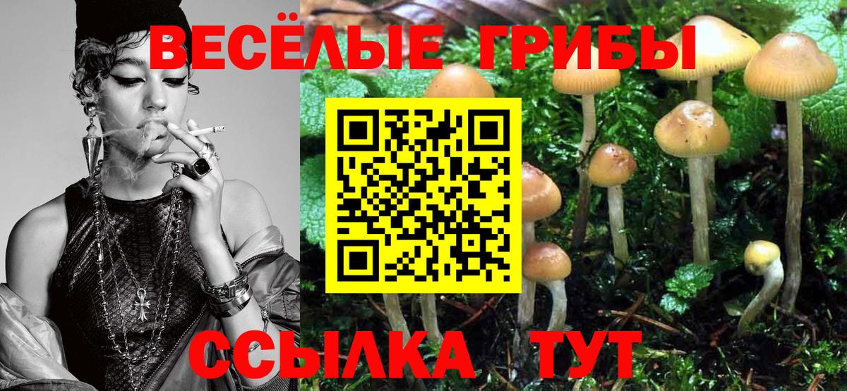 Псилоцибиновые грибы ЛСД Ярославль