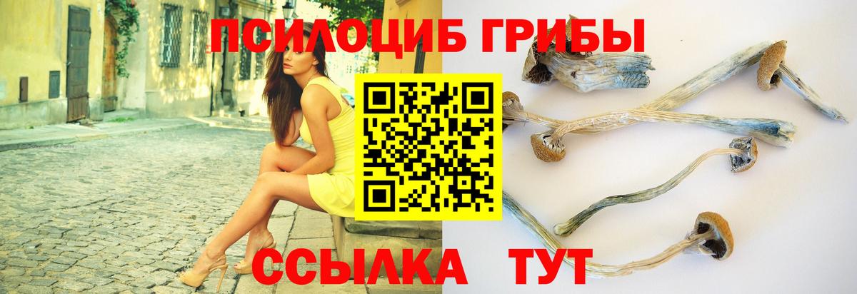 Галлюциногенные грибы Magic Shrooms  Галлюциногенные грибы мухоморы  Вход с VPN  Ярославль 